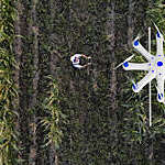 Farmer using a drone to spray his crops.